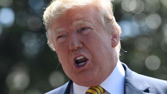 White supremacist and President of the United States Donald Trump speaks to reporters on the South Lawn of the White House on June 22, 2019