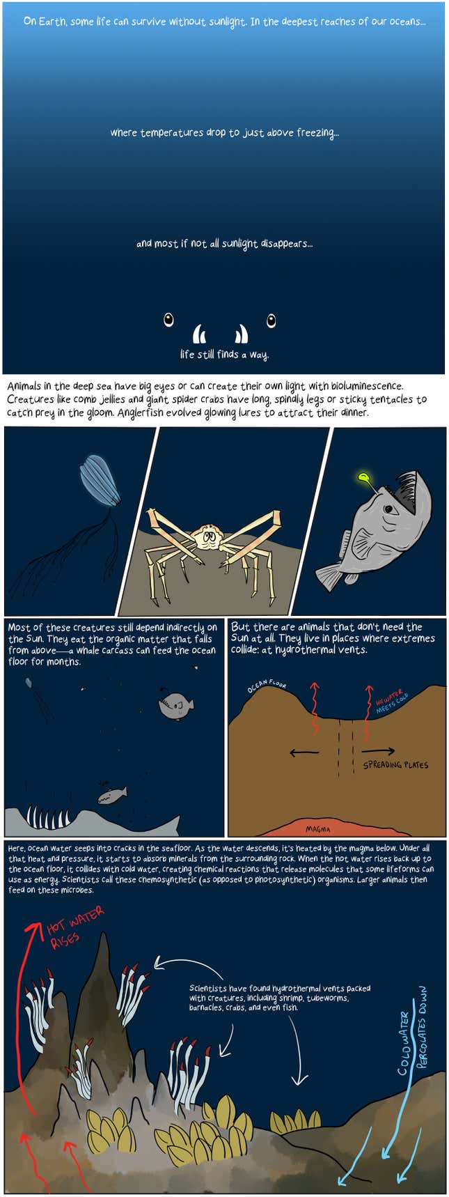 Image for article titled What Would Life on an Ocean Moon Look Like?