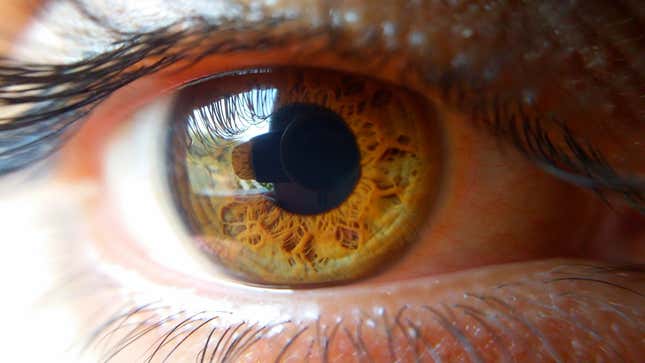 Image for article titled Can You Really Stalk Somebody Through Their Eyeball Reflections?