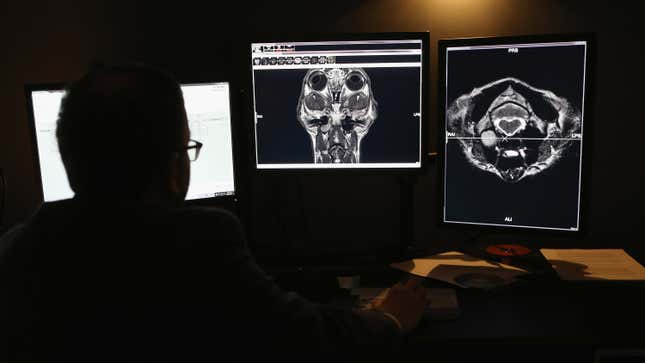 Image for article titled Anyone Can Look at Millions of Americans&#39; Medical Images and Data, Report Finds