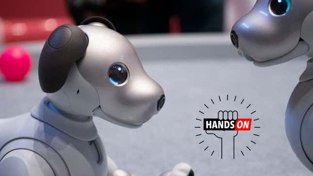 Image for article titled Sony&#39;s Aibo Is One Dumb Dog (So Far...)