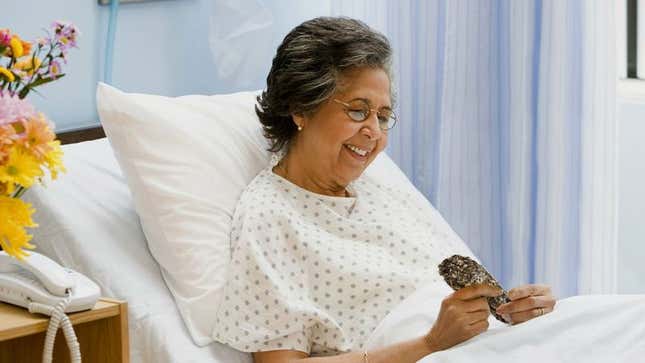 Image for article titled Hospital Comforts Patients With New Therapy Oyster Program