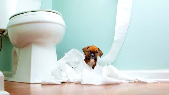 A puppy is covered in a mound of toilet paper and sitting near a toilet
