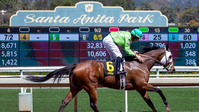 Image for article titled Santa Anita Park Officials Announce They Will Stop Allowing Bets On All Upcoming Horse Deaths