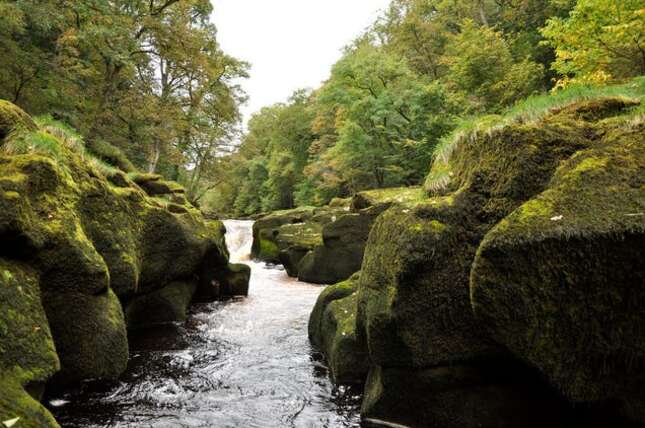 Imagen para el artículo titulado Este tranquilo tramo de agua es el más peligroso de la Tierra. Si saltas y caes, date por muerto
