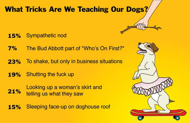 Image for article titled What Tricks Are We Teaching Our Dogs?
