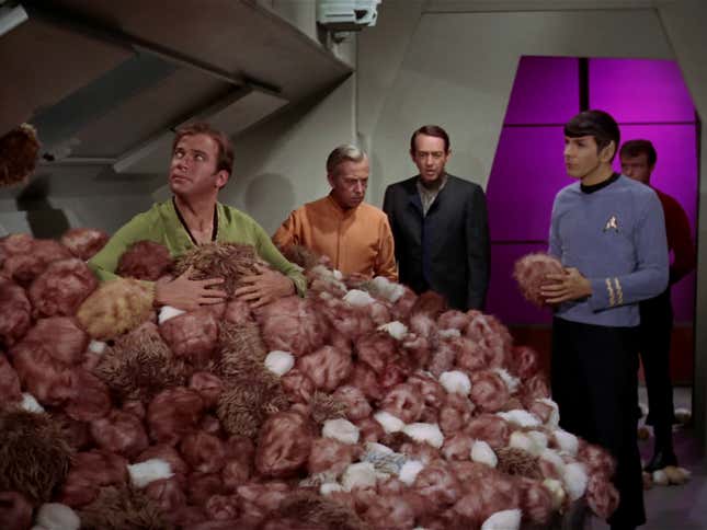 Kirk has his hands full.
