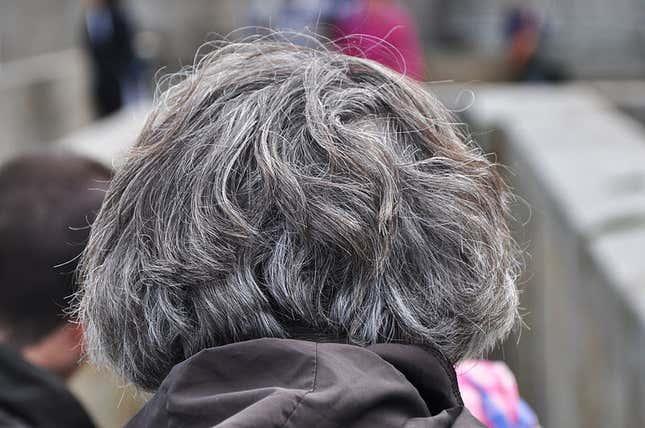 Imagen para el artículo titulado La ciencia resuelve la gran pregunta: cómo el estrés vuelve el cabello gris