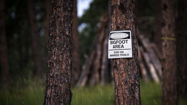 Image for article titled Nobody Wants Oklahoma&#39;s Proposed Bigfoot Hunting Season