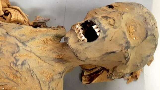 La muerte de “la mujer que grita”, la momia de hace 3.000 años, ya tiene explicación
