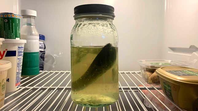 Image for article titled Last Pickle Delighted To Finally Have Whole Jar To Self