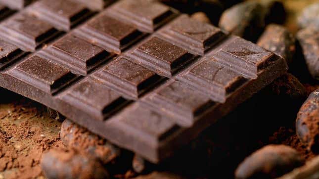 Bittersweet chocolate surrounded by cocoa powder