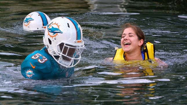 Image for article titled Florida Resort Allows Guests To Swim With Miami Dolphins