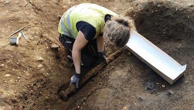 NTNU archaeologist Astrid Kviseth pulling the sword from the grave. 