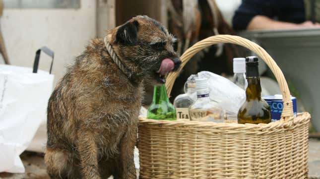 Image for article titled Wine delivery dog, adorable genius, nails curbside drop-off