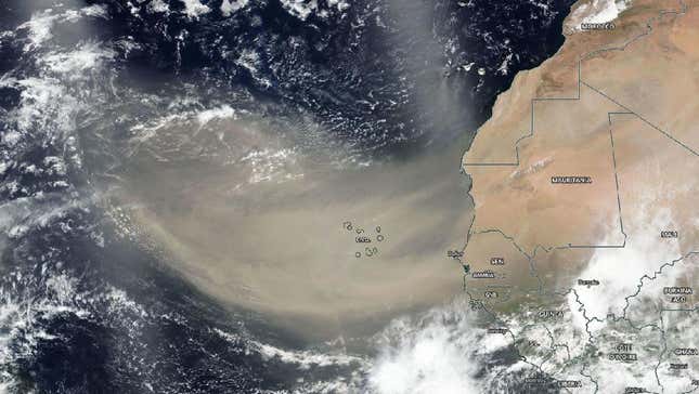 A satellite photo of the Saharan dust plume, as imaged on June 18. 
