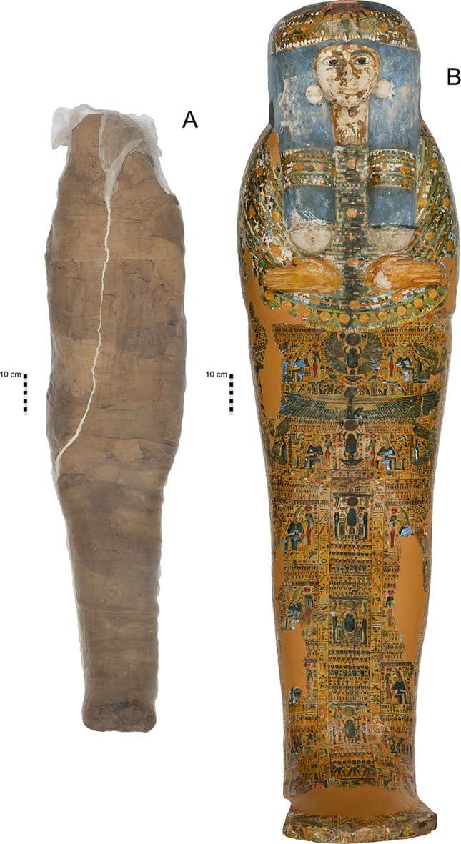 The mummified individual and coffin.