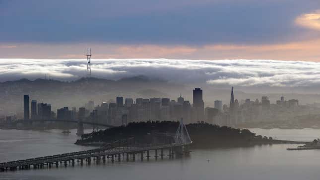 A blanket of fog covers the San Francisco skyline in a view from the Berkeley Hills.
