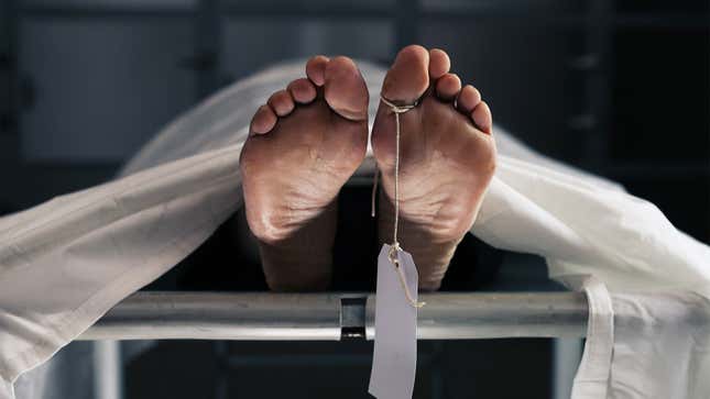 Image for article titled How To Lose Weight Fast