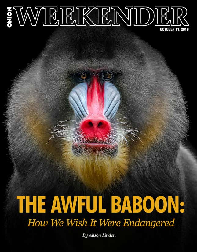 Image for article titled The Awful Baboon: How We Wish It Were Endangered