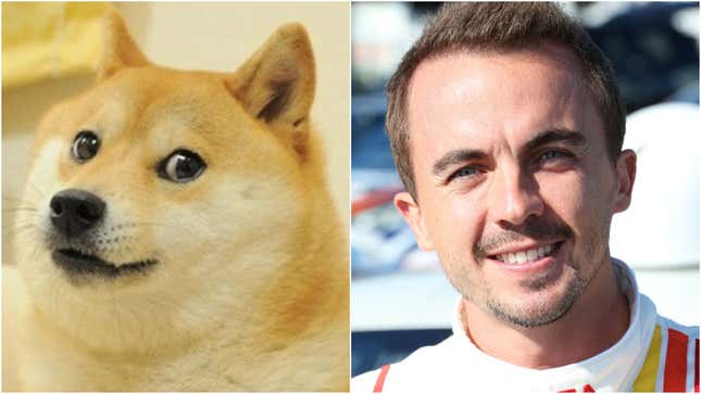 Image for article titled The GameStop stonk bubble has swallowed DogeCoin, Frankie Muniz