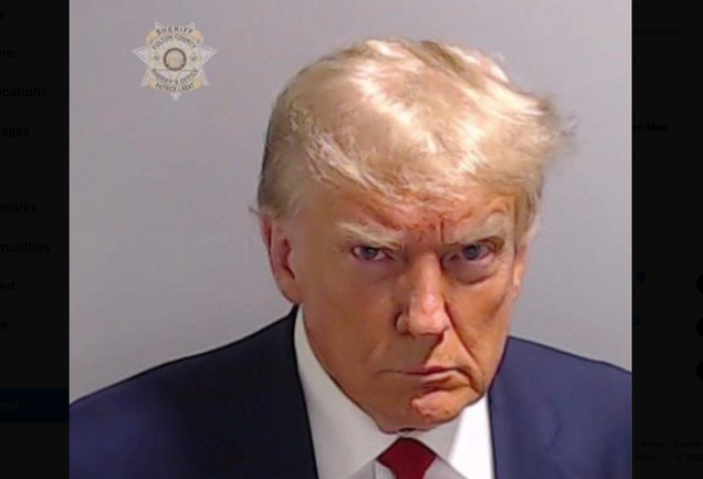  iPhone XS Max Donald Trump President - Legendary Mugshot -  Trump Legend Case : Cell Phones & Accessories