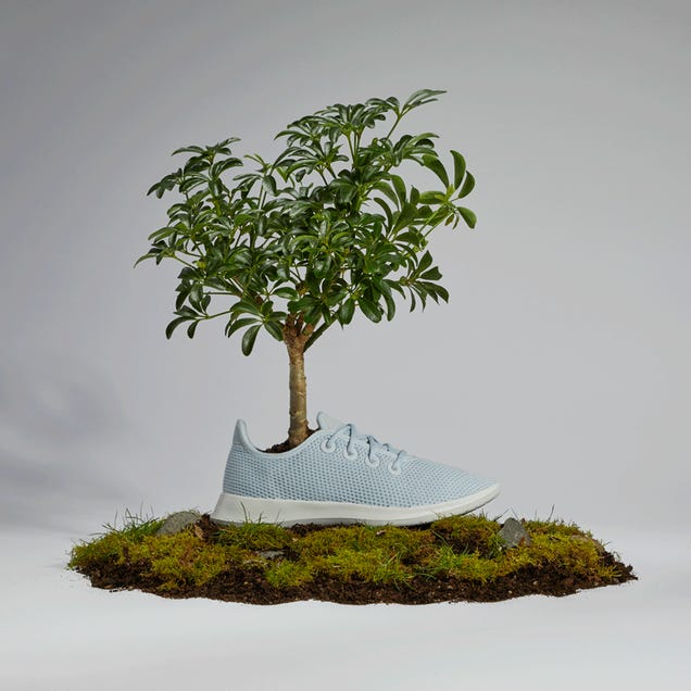 Shoes made from deals eucalyptus trees