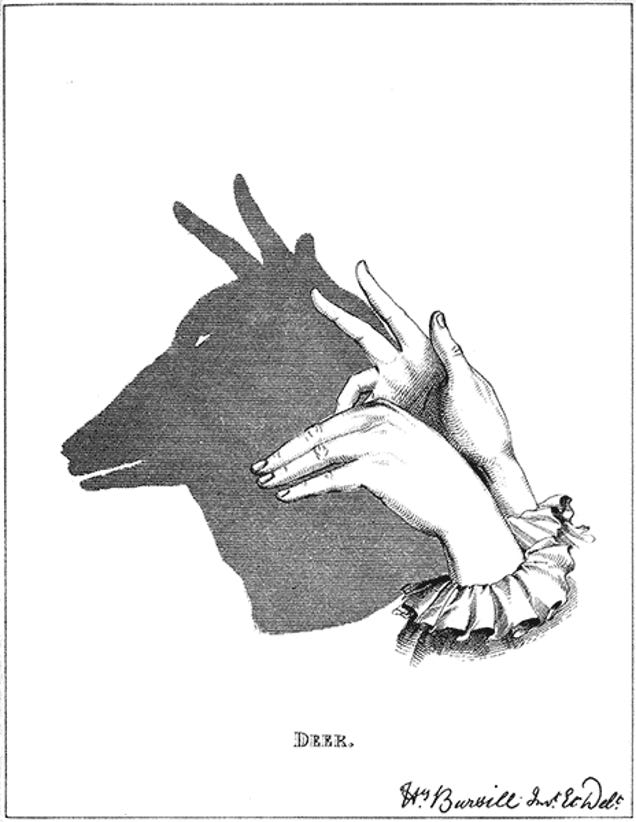 How to Make Great Shadow Puppets