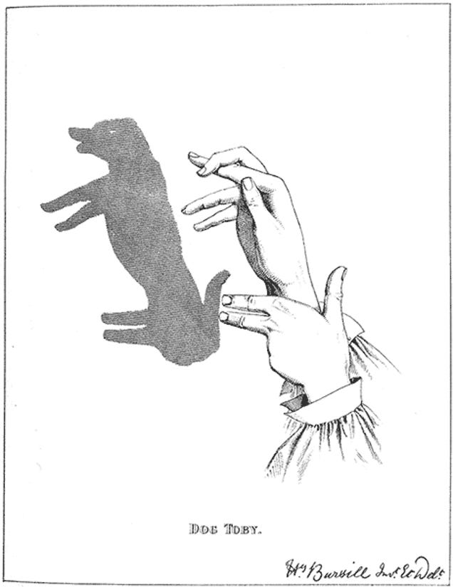 How to Make Great Shadow Puppets