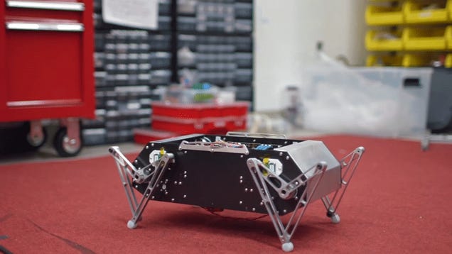stanford robot dog
