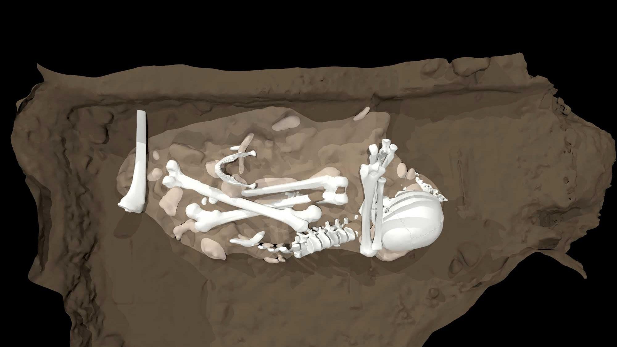 إعادة بناء فنان لشخص بالغ Homo naledi تم العثور عليه في غرفة Dinaledi في الكهف.