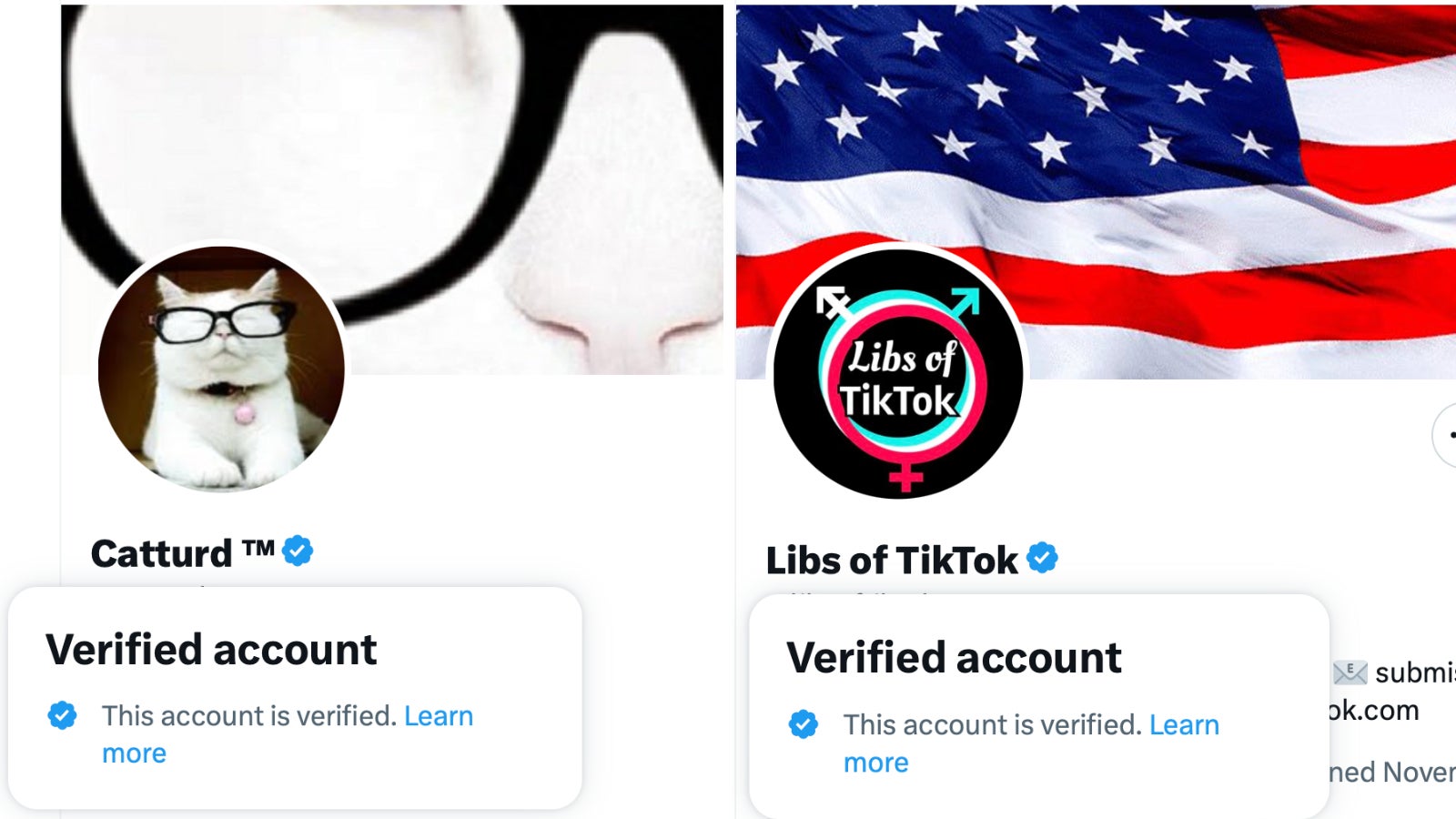 لقطات من حساب Catturd و Libs of TikTok ، والذي يتميز بعلامة Twitter الجديدة.