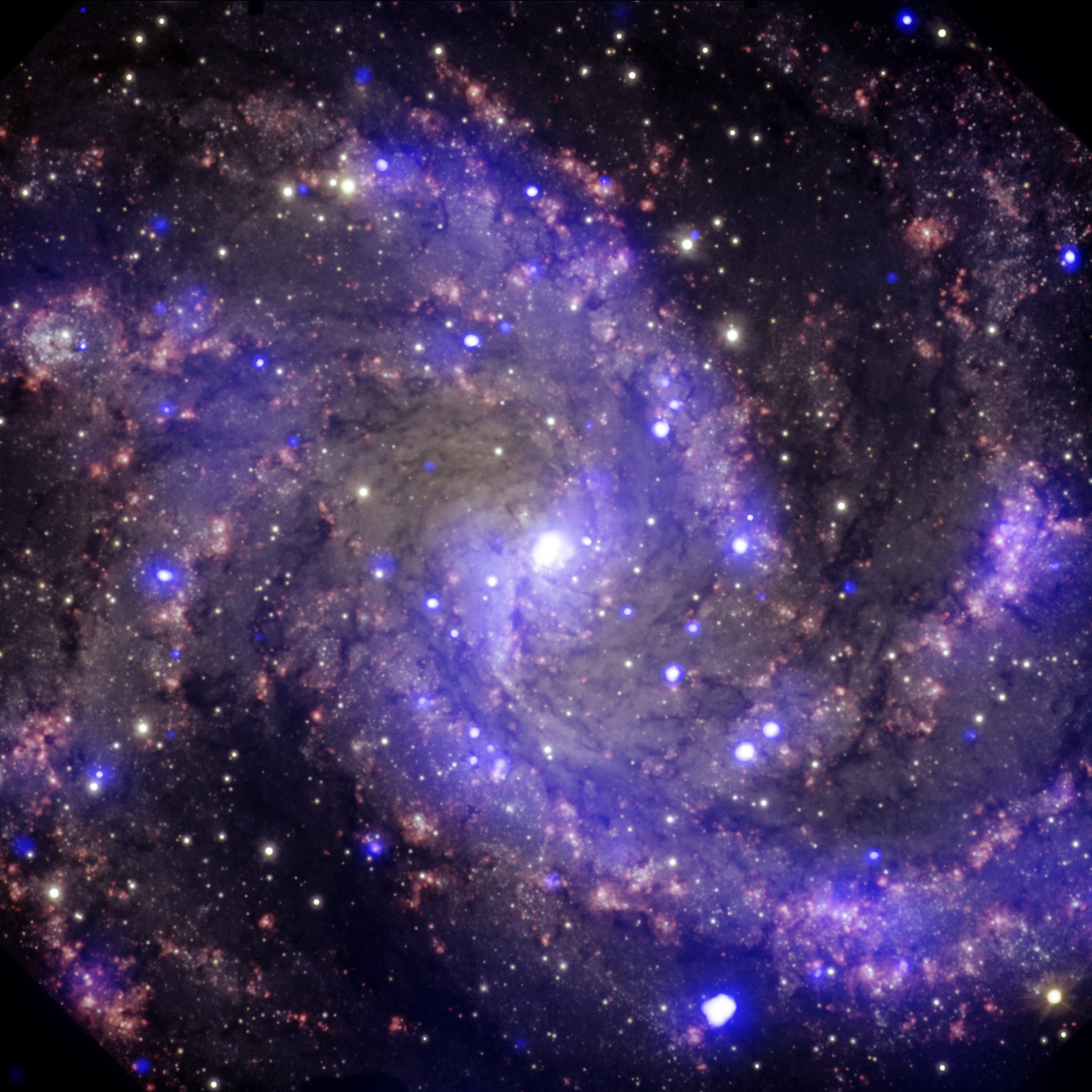 مجرة الألعاب النارية كما يراها مرصد شاندرا للأشعة السينية.