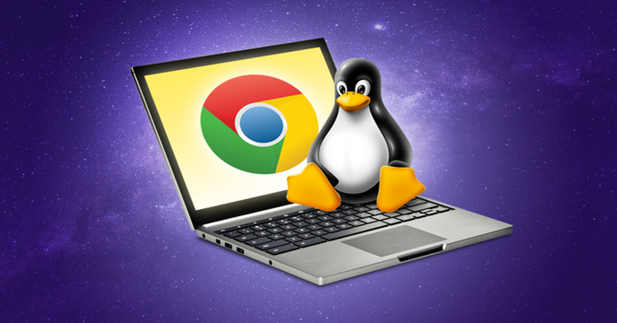 how to install linux on a school chromebook