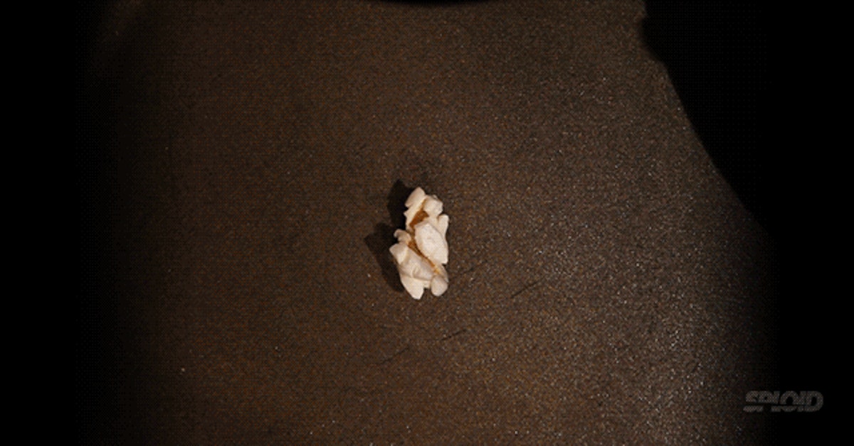 chemlab 13 determine pressure in popcorn kernels answers