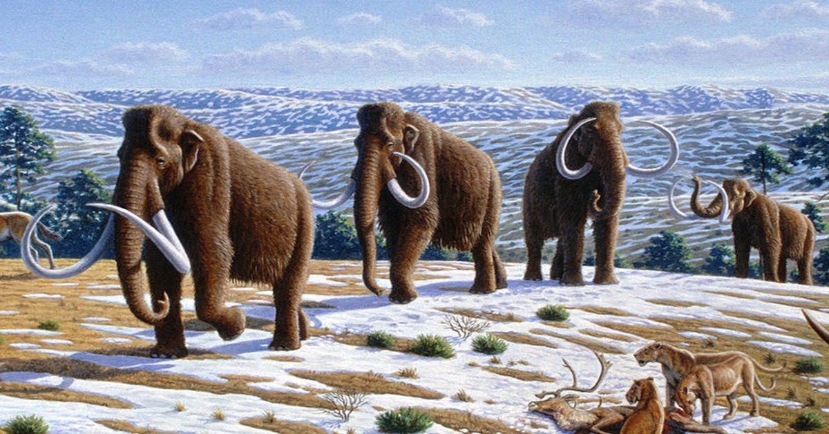 A Movie Is Being Made About The De-Extinction Of The Woolly Mammoth ...