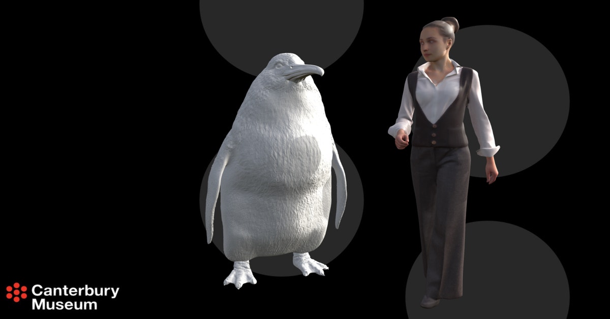 nah-or-aww-human-size-penguins-once-waddled-across-new-zealand