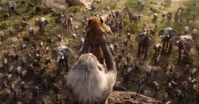 Image result for the lion king 2019 gif