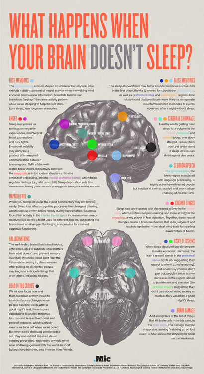 what happens to your brain when you dont get enough sleep