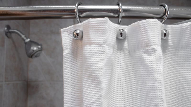 How To Deal With A Moldy Shower Curtain, How To Stop Shower Curtain From Going Mouldy