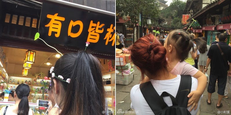 china sprout head