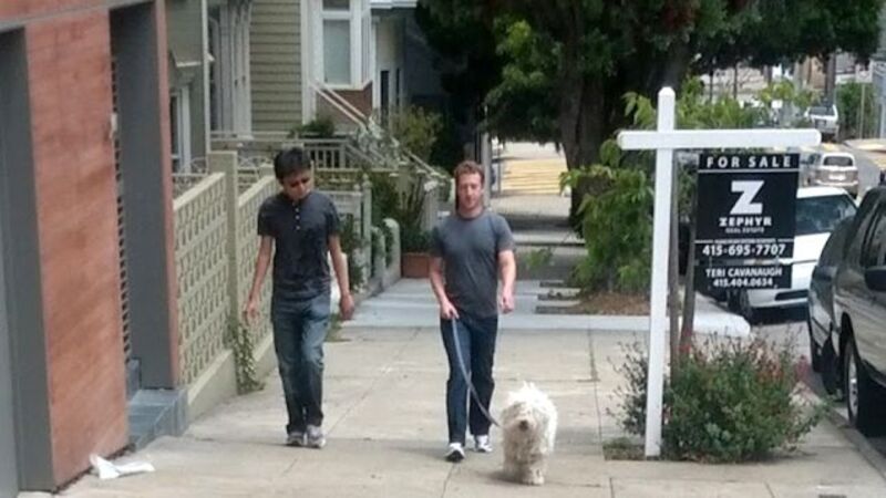 Mark Zuckerberg Walking His Fluffy Rich Dog On A Cloudless Day Updated