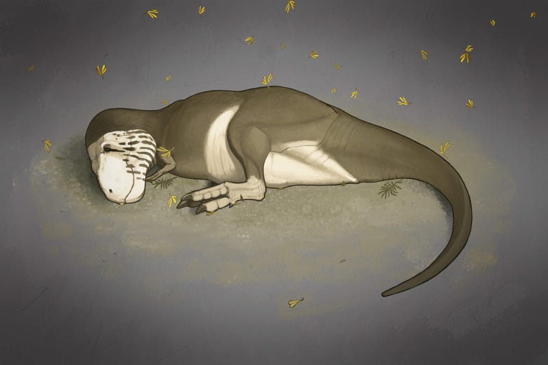 A Book That Will Make You Question Everything You Know About Dinosaurs