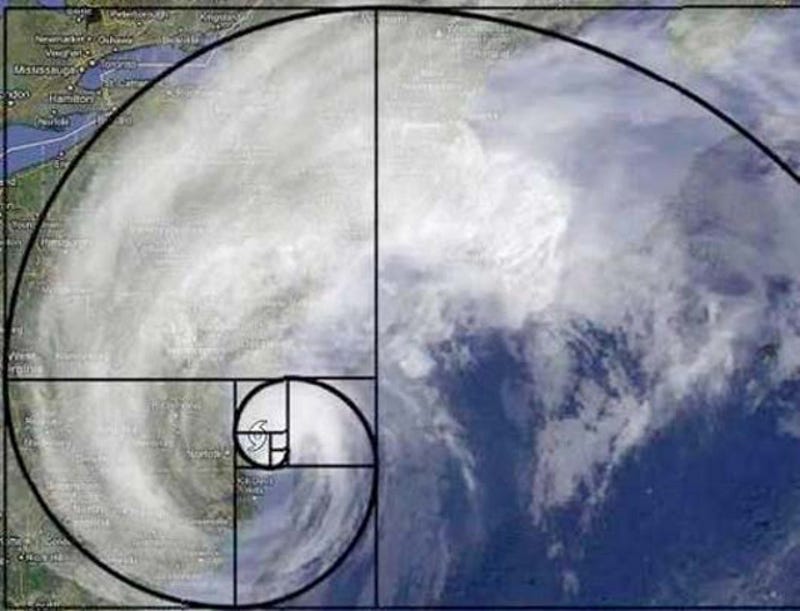 15 Uncanny Examples Of The Golden Ratio In Nature