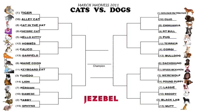Cats Vs Dogs Tournament Polls Open Now