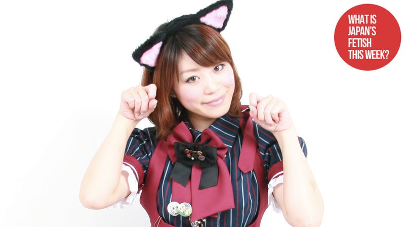 What Is Japan S Fetish This Week Catgirls