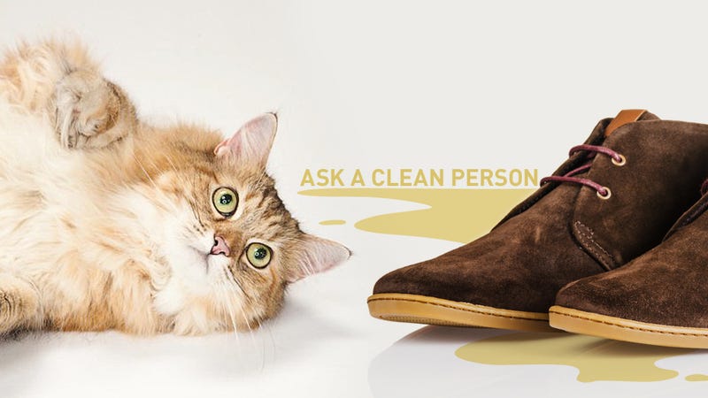 Help The Goddamn Cat Peed On My Loafers