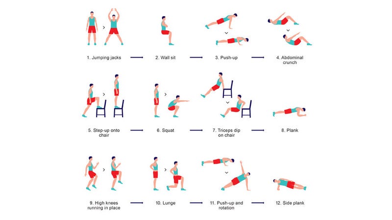 This 7 Minute Research Based Workout Exercises Your Whole Body