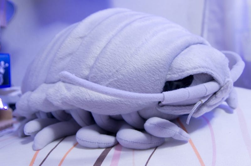 giant isopod plushie