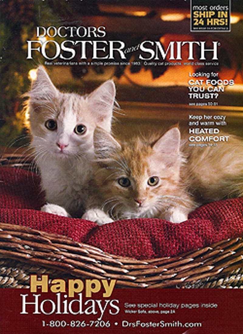Doctors Foster Smith The Crazy Cat Lady Catalog